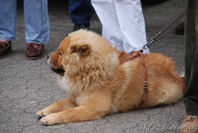 Bensberg Classics 2007_8054.JPG